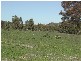 Lot 15 Holly Rise, Coffin Bay SA 5607