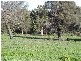 Lot 15 Holly Rise, Coffin Bay SA 5607