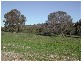 Lot 15 Holly Rise, Coffin Bay SA 5607