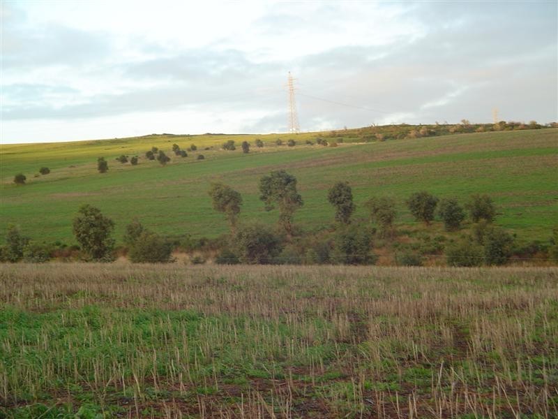 Sect 145 White Flat Rd, Whites Flat SA 5607