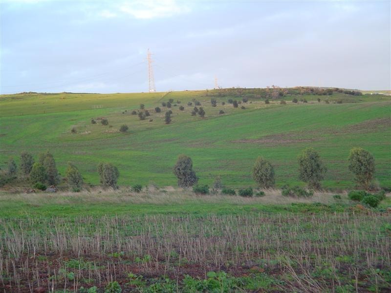 Sect 145 White Flat Rd, Whites Flat SA 5607