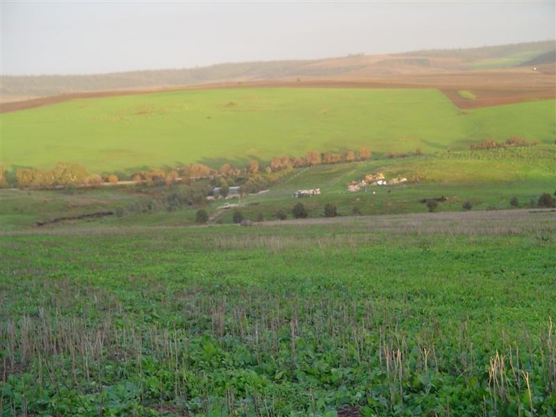 Sect 145 White Flat Rd, Whites Flat SA 5607