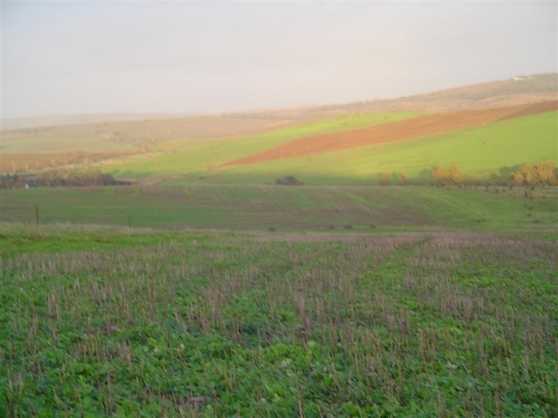 Sect 145 White Flat Rd, Whites Flat SA 5607