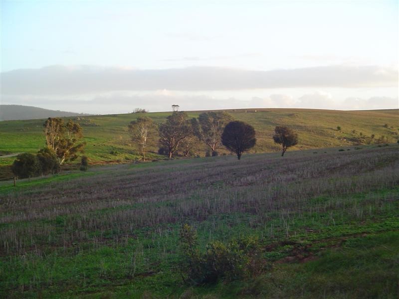 Sect 145 White Flat Rd, Whites Flat SA 5607