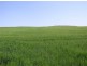 Lot 11 Coast Rd, Tumby Bay SA 5605