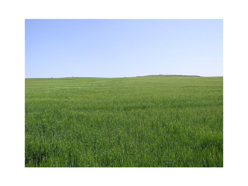 Lot 11 Coast Rd, Tumby Bay SA 5605