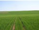 Lot 11 Coast Rd, Tumby Bay SA 5605