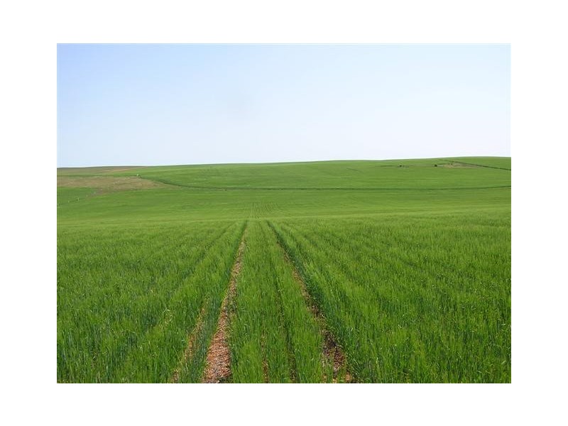 Lot 11 Coast Rd, Tumby Bay SA 5605