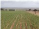 Lot 11 Coast Rd, Tumby Bay SA 5605