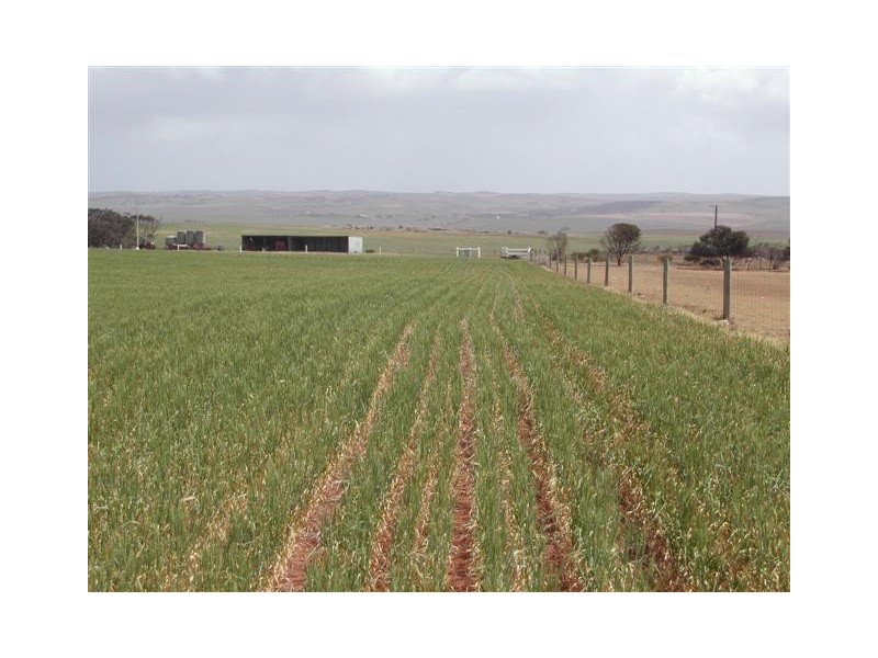 Lot 11 Coast Rd, Tumby Bay SA 5605