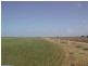 Lot 11 Coast Rd, Tumby Bay SA 5605