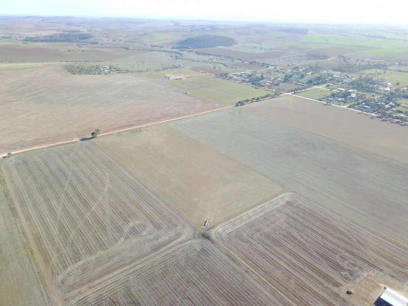 Lot 10 Morris Road, Lipson SA 5607