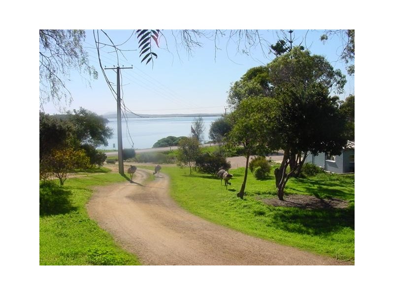 60 Pine Cres, Coffin Bay SA 5607