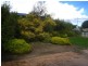 51 Dublin St, Port Lincoln SA 5606