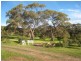 Lot 17 Bronze Wing Drive, Port Lincoln SA 5606