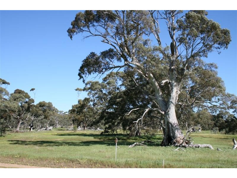 Lot 100 Flinders Highway, Coulta SA 5607