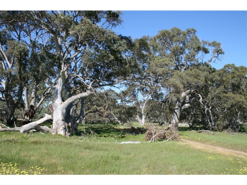 Lot 100 Flinders Highway, Coulta SA 5607