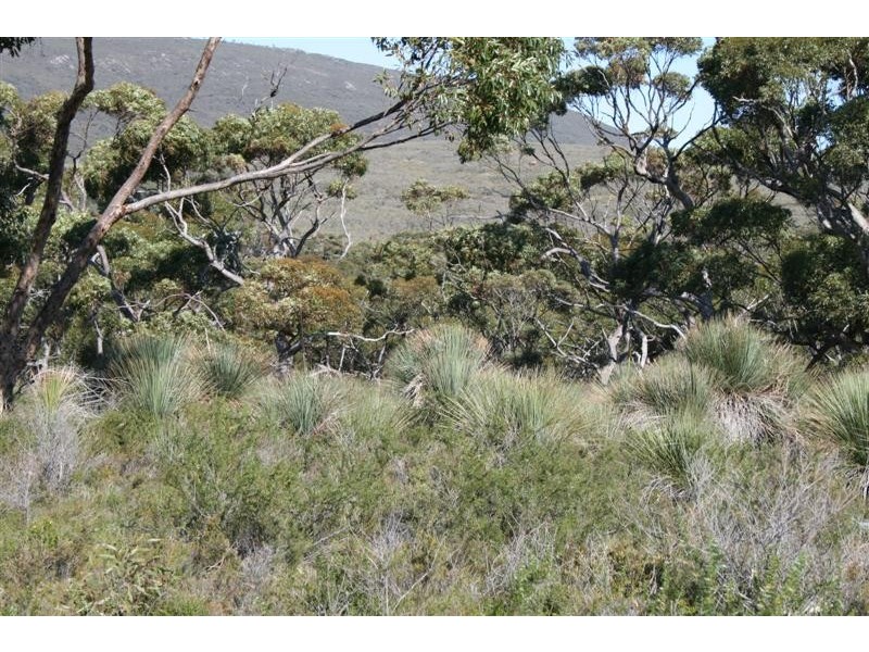 Lot 100 Flinders Highway, Coulta SA 5607