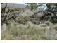 . Flinders Highway, Coulta SA 5607