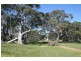 . Flinders Highway, Coulta SA 5607