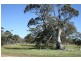 Lot 102 Flinders Hwy, Coulta SA 5607