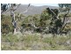 Lot 102 Flinders Hwy, Coulta SA 5607