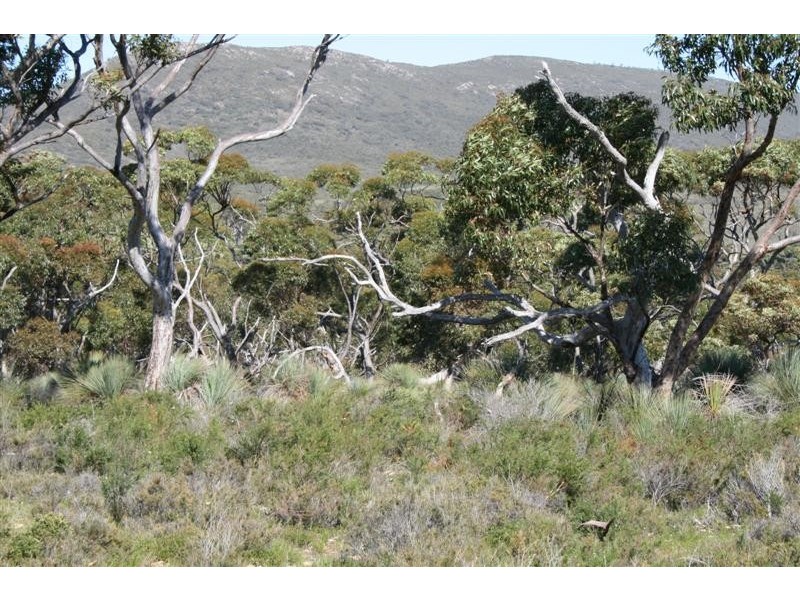 Lot 102 Flinders Hwy, Coulta SA 5607