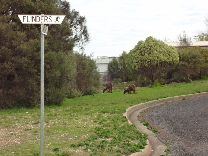 36 Flinders Avenue, Coffin Bay SA 5607