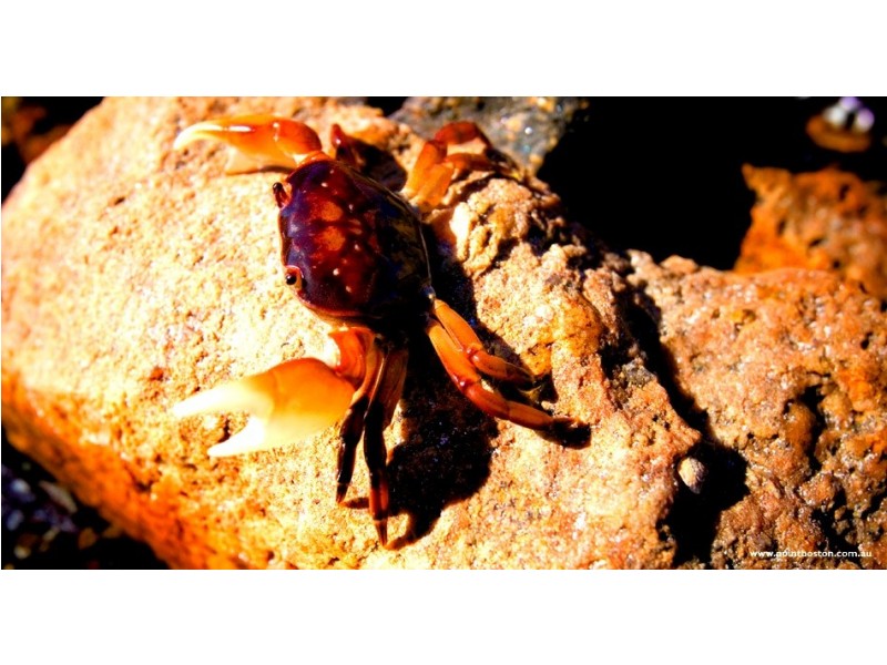 1 North Esp Point Boston Via, Port Lincoln SA 5606