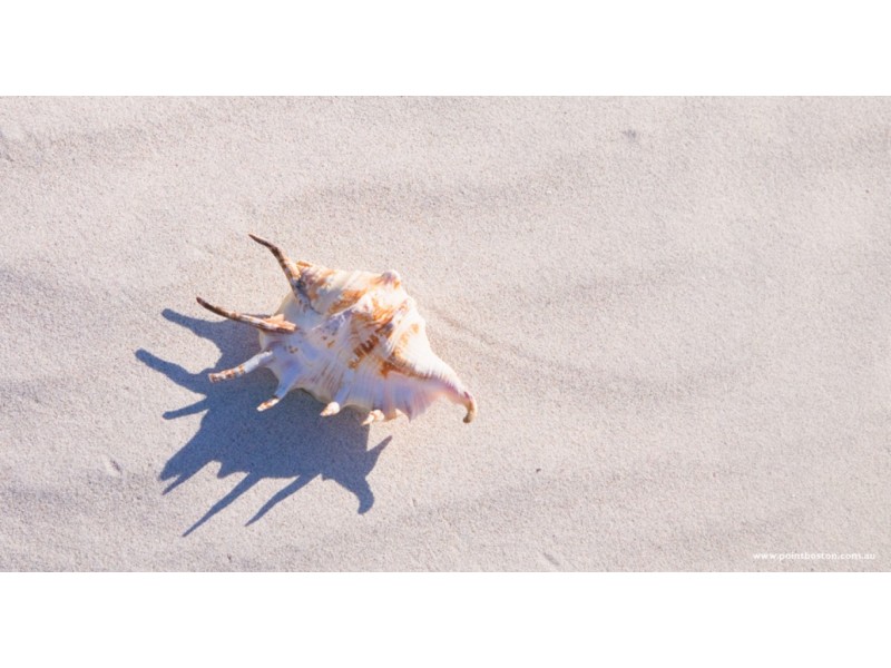 Lot 128 Oystercatcher Circut, Point Boston, Port Lincoln SA 5606