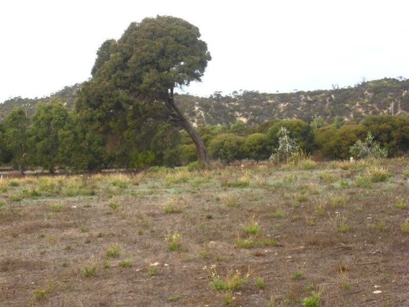 Lot 3 Victoria  Avenue, Coffin Bay SA 5607