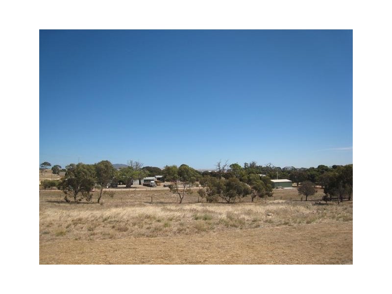 Lot 71-72 South Tce, Coulta SA 5607