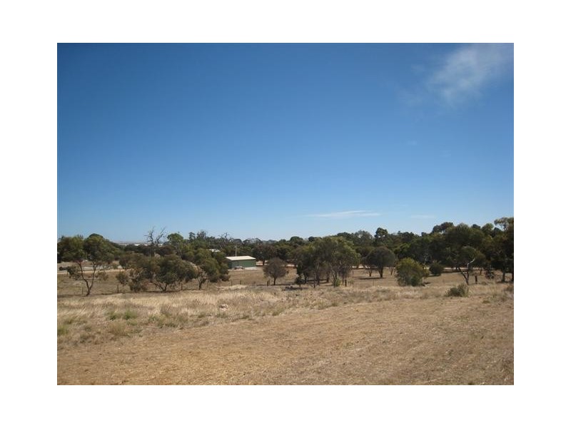 Lot 71-72 South Tce, Coulta SA 5607