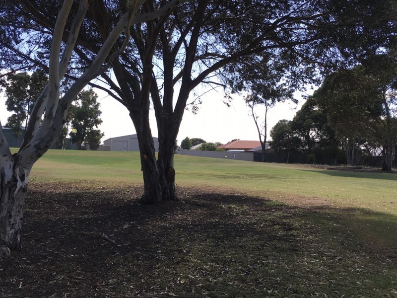 1 Holly Rise, Coffin Bay SA 5607