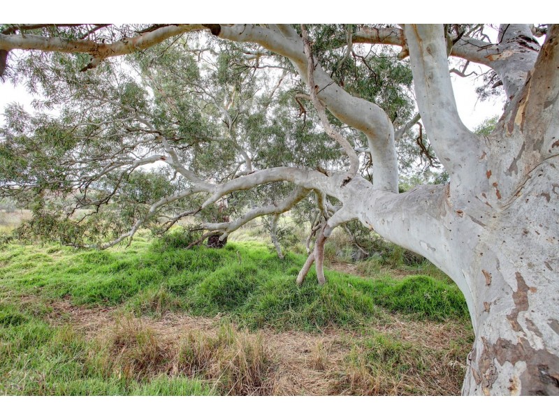 99 Calderwood Road, known as 944 Yallunda Flat Road, Koppio SA 5607