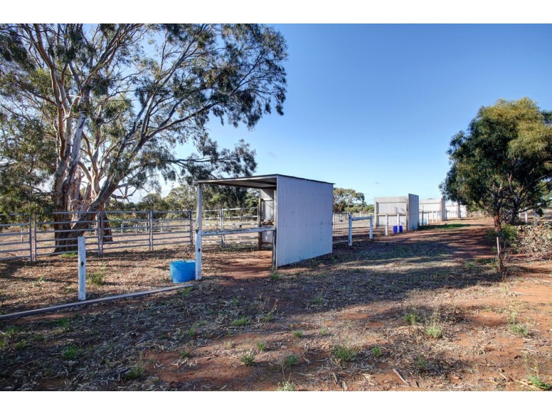 44 Pobke Road, Coomunga SA 5607