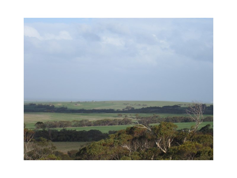 214 Foothills Road, Tumby Bay SA 5605