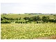 . Endeavour Heights, Port Lincoln SA 5606