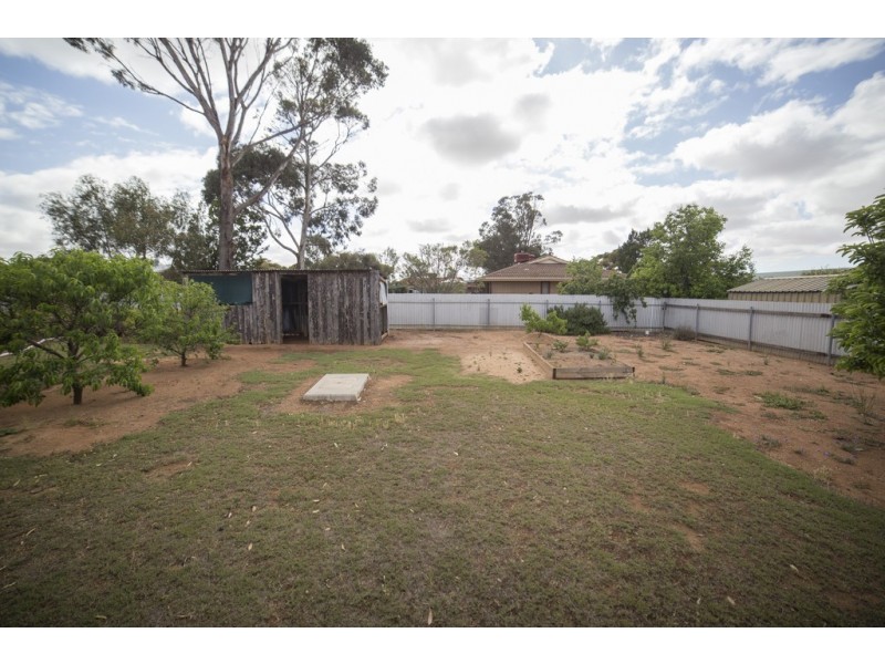 12 Silver Street, Cleve SA 5640