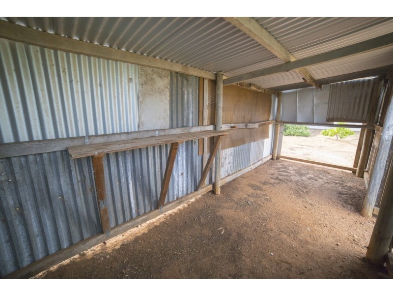 12 Silver Street, Cleve SA 5640