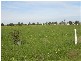 Lot 45 Mazda Drive, Port Lincoln SA 5606