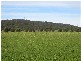 Lot 45 Mazda Drive, Port Lincoln SA 5606