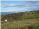 Lot 202 Lincoln Highway, Port Lincoln SA 5606