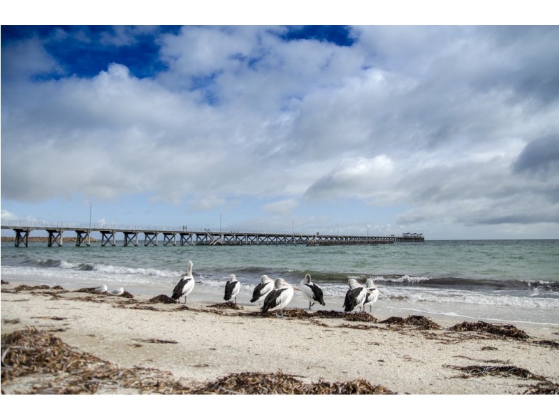 37 Denton Street, Smoky Bay SA 5680