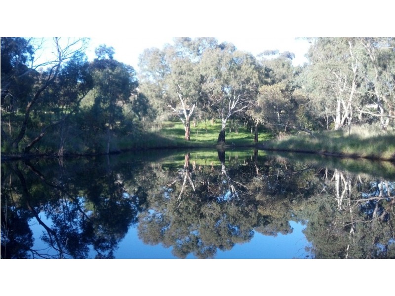 42-52 Hidden Valley Lane, Boston SA 5607