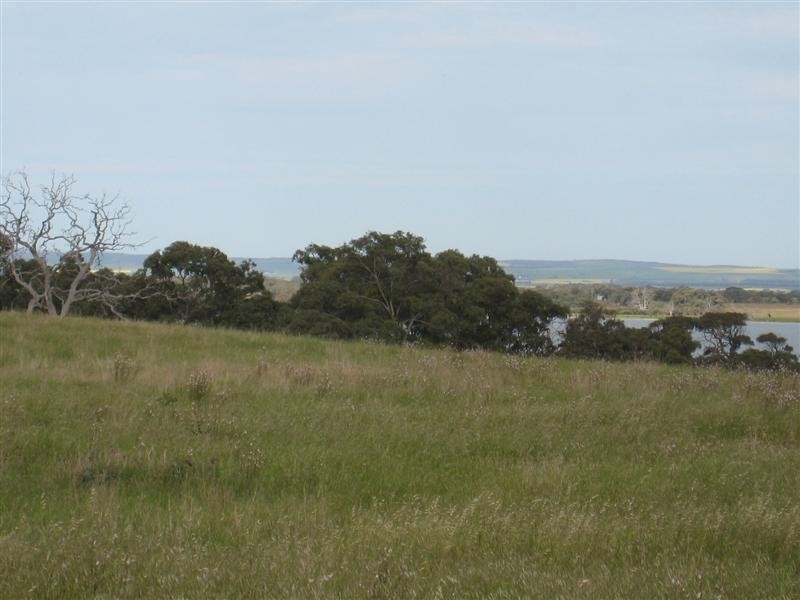 Sec 187 Flinders Hwy, Wangary SA 5607