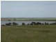 Sec 187 Flinders Hwy, Wangary SA 5607