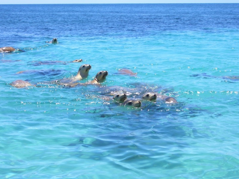 Lot 41 Whalers Drive, Thistle Island via, Port Lincoln SA 5606