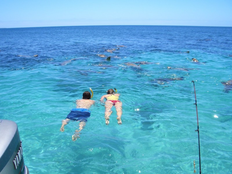 Lot 50 Whalers Drive, Thistle Island via, Port Lincoln SA 5606