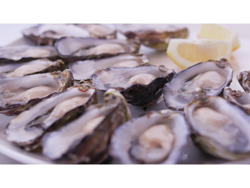 Lots 601 and 602 Martindale Street, Coffin Bay SA 5607